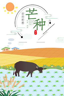 芒种二十四节气牛稻田太阳