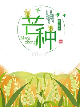 芒种二十四节气麦田山燕子