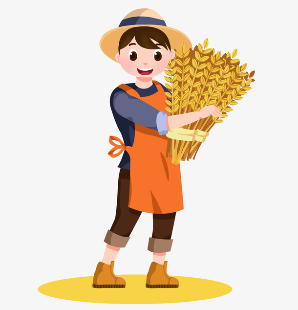 芒种,夏日,麦穗,卡通人物