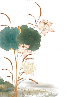 手绘国潮风莲花