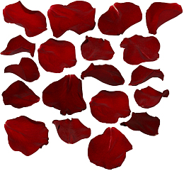 大红色的小花瓣