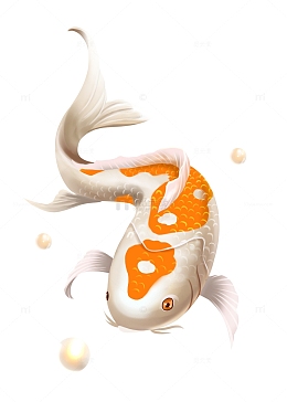 国潮锦鲤年年有余