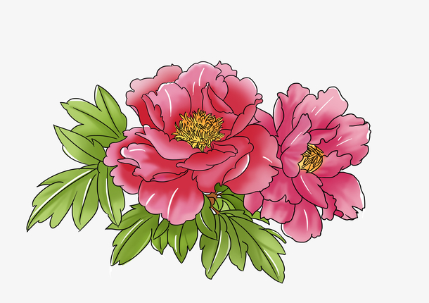 国潮牡丹插画元素
