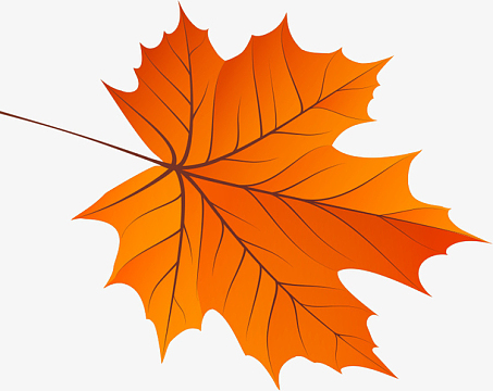 秋天的梧桐树叶