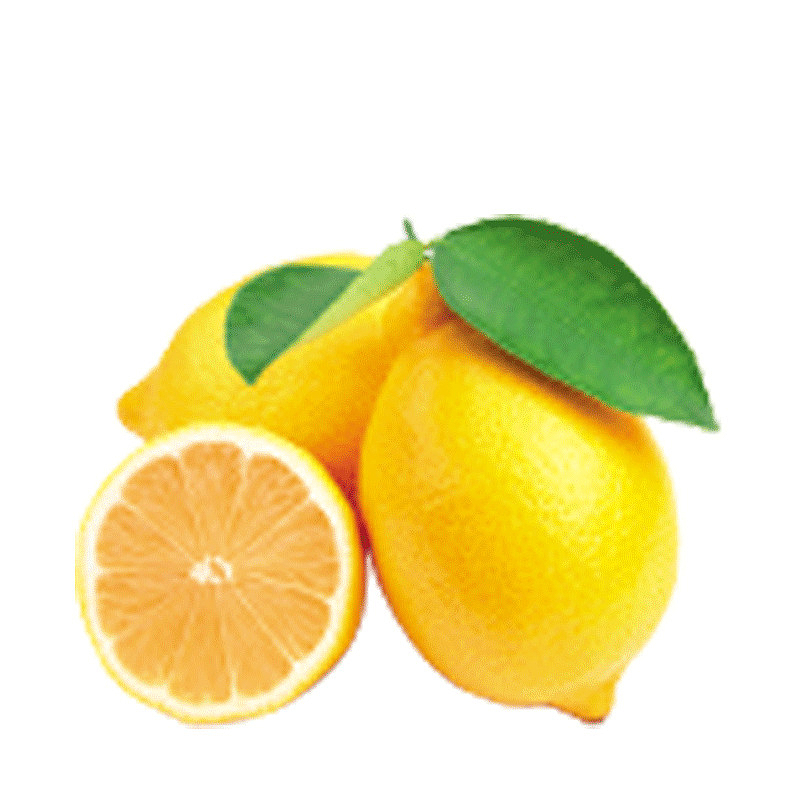 柠檬  绿色 橙子  橘子