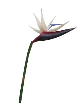 000290