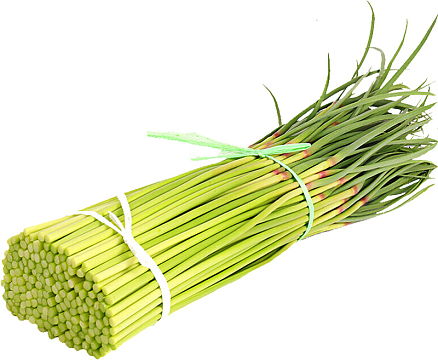 蒜苔 蒜苗 整捆蒜苔