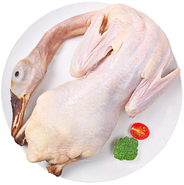 鸭子 白条鸭 老鸭 整鸭