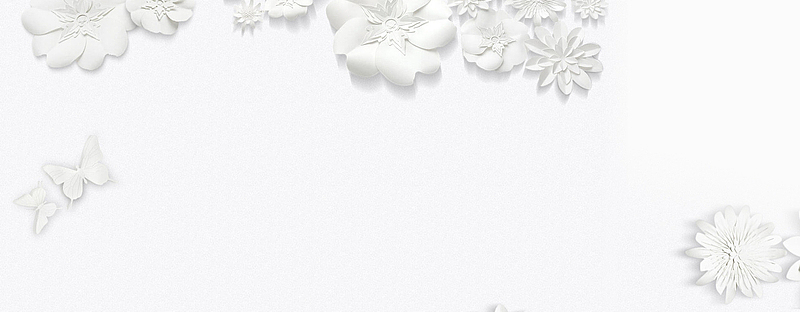 白色优美花朵