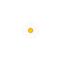 花朵 小雏菊 手绘 装饰