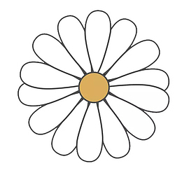 小雏菊 描边