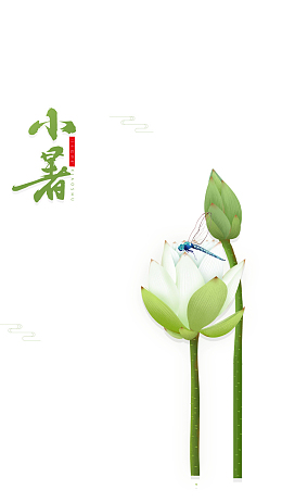 小暑莲花手绘元素