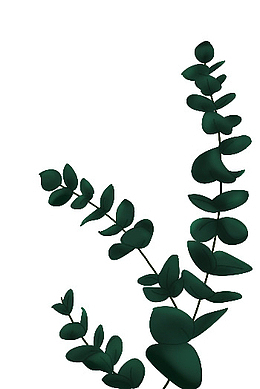 创意手绘桉树树叶植物素材
