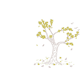 中秋佳节桂花树