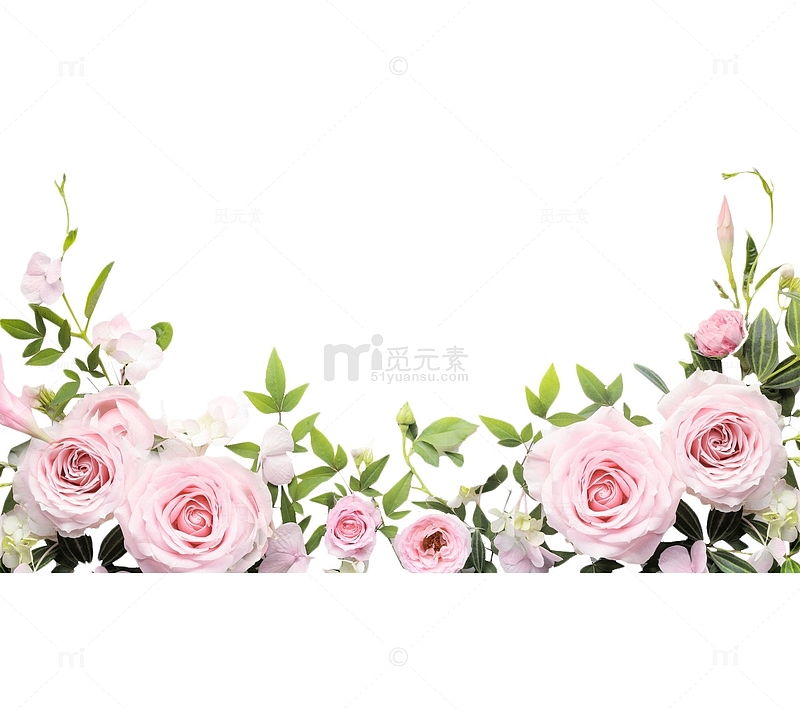 玫瑰花环粉色蔷薇