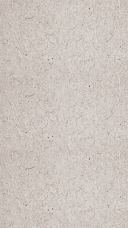 工笔画纸纹纹理