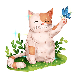 小猫咪和蝴蝶玩耍