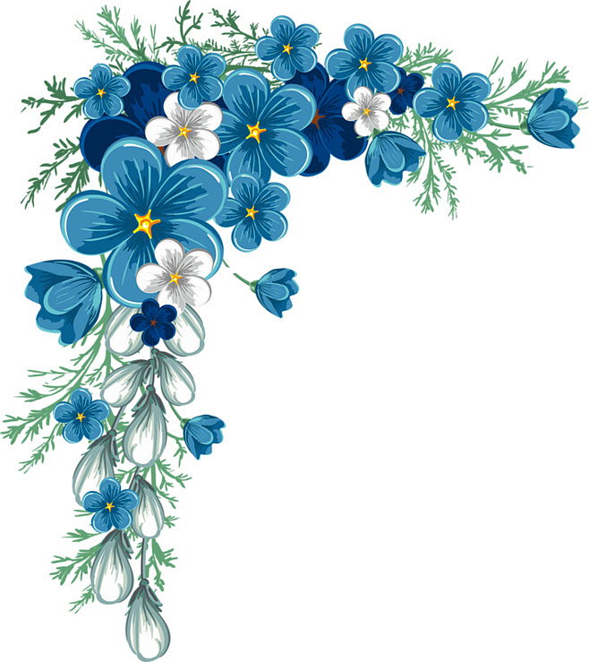 蓝色的花朵n