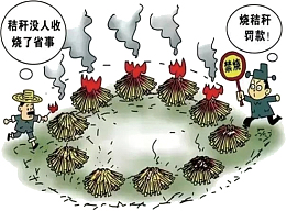 焚烧秸秆罚款