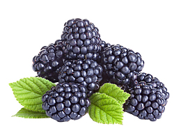 新鲜的桑葚好吃