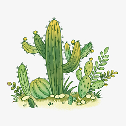 手绘热带唯美植物仙人掌