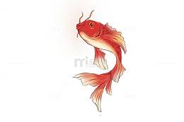 锦鲤手绘红色