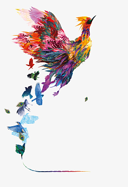 古风凤凰彩色鸟