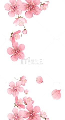 桃花花蕊粉色水彩
