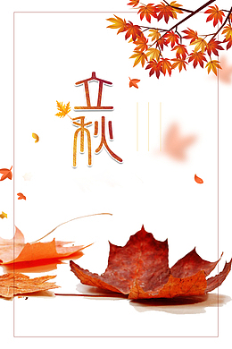 秋天立秋树叶树枝线框落叶