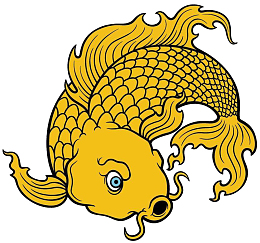 黄色鱼  气愤