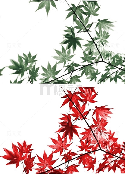 不同时节红绿枫