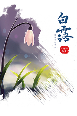 白露二十四节气花朵绿叶