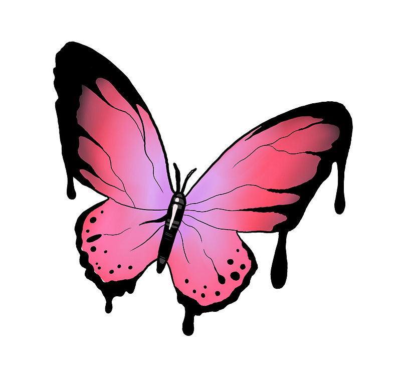 粉色的小蝴蝶 黑色