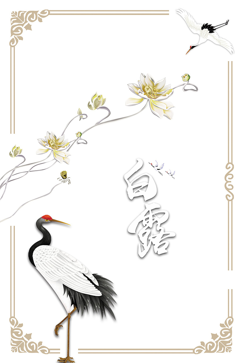 白露秋季花朵仙鹤线框