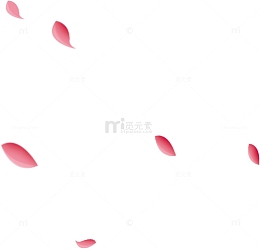 漂浮樱花花瓣粉色花瓣飘落