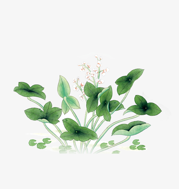 手绘荷叶古风国潮