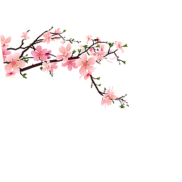 粉红色小花带树枝