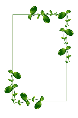 边框植物边框藤蔓绿叶