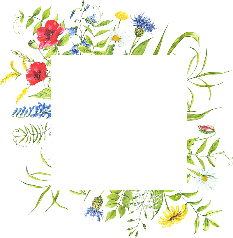 花朵绿叶边框手绘植物手绘边框