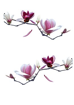 仿真花带树枝话