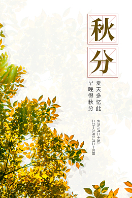 秋天秋分树枝树叶二十四节气