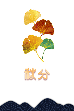 秋天秋分落叶枯叶二十四节气