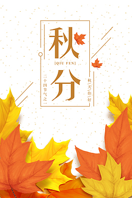 秋天秋分枯叶落叶二十四节气