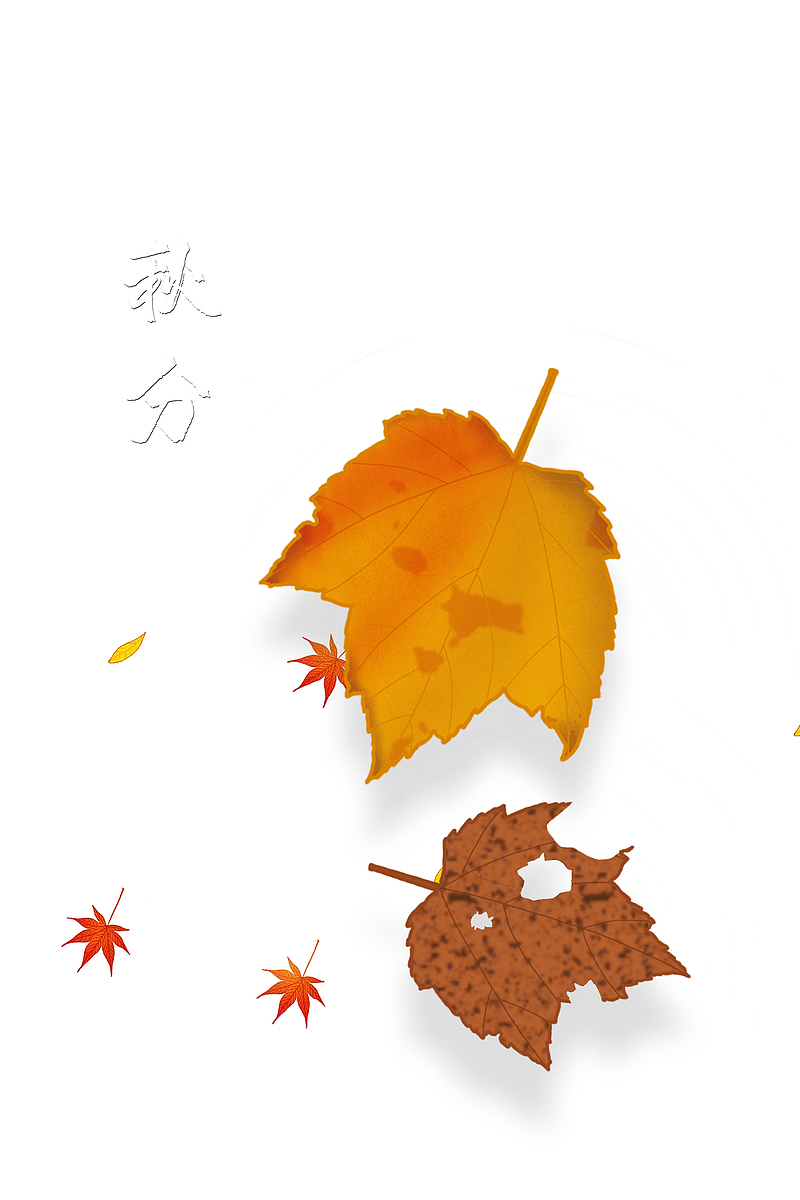 秋分秋天落叶枯叶二十四节气