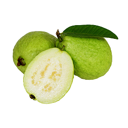 广西芭乐番石榴