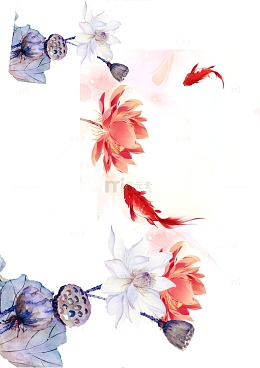 莲花荷花莲蓬
