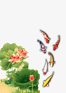 莲花荷叶锦鲤