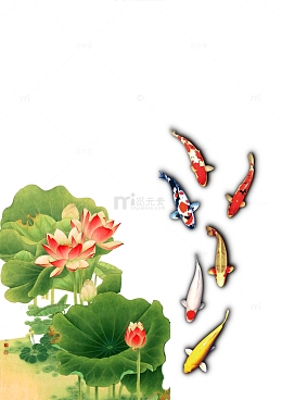 莲花荷叶锦鲤