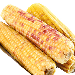 五彩玉米水煮玉米