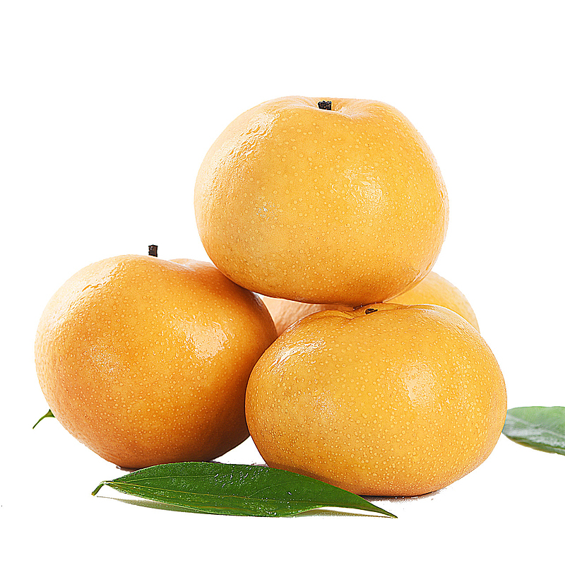 黄皮梨子水果